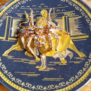 Accent Stone Spider Brooch